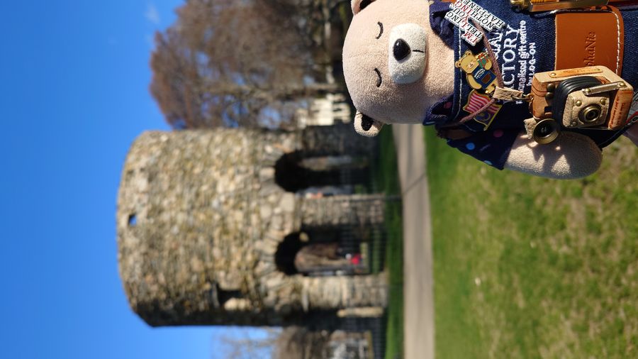 The real Fred Bear plush at the Newport Tower in Rhode Island
